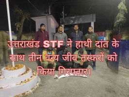 उत्तराखंड एसटीएफ ने हाथी दांत के साथ तीन वन्य जीव तस्करों को किया गिरफ्तार।