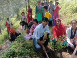 प्रधान सुनील सेमवाल के नेतृत्व में वृहद वृक्षारोपण कार्यक्रम। 