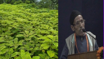 करी मेहनत दिन और रात, घघरा फूंका बत्तीस हाथ : विष्णु प्रसाद सेमवाल (भृगु)