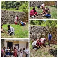 Tehri: स्वामी रामतीर्थ परिसर, बादशाहीथौल में हर्षोल्लास के साथ मनाया गया लोकपर्व हरेला। 