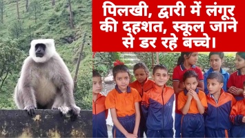 Ghansali: पिलखी द्वारी में लंगूर की दहशत, स्कूल जाने से डर रहे बच्चे।