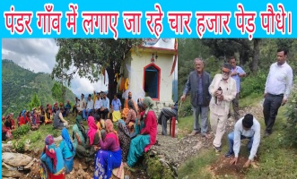 Tehri: पंडर गाँव में लगाए जा रहे चार हजार पेड़ पौधे।