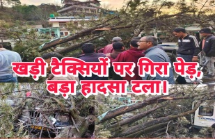 Uttarkashi news: टैक्सी स्टैण्ड के पास गिरा पेड़, बड़ा हादसा टला। 