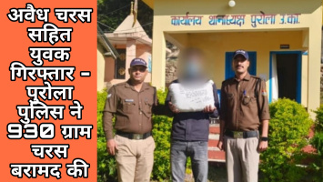 अवैध चरस सहित युवक गिरफ्तार - पुरोला पुलिस ने 930 ग्राम चरस बरामद की
