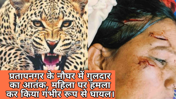 प्रतापनगर के नौघर में गुलदार का आतंक, महिला पर हमला कर किया गंभीर रूप से घायल।