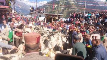 Ghansali: गंगी गांव में परंपरा के निर्वहन हेतु पुनः लगा भेड़ कौथिग, हजारों श्रद्धालु बने साक्षी