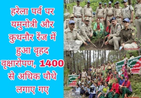 Uttarakashi: हरेला पर्व पर यमुनोत्री और कुथनौर रेंज में हुआ वृहद वृक्षारोपण, 1400 से अधिक पौधे लगाए गए