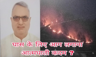 घास के लिए आग लगाना आत्मघाती कदम ? 